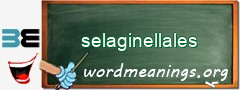 WordMeaning blackboard for selaginellales